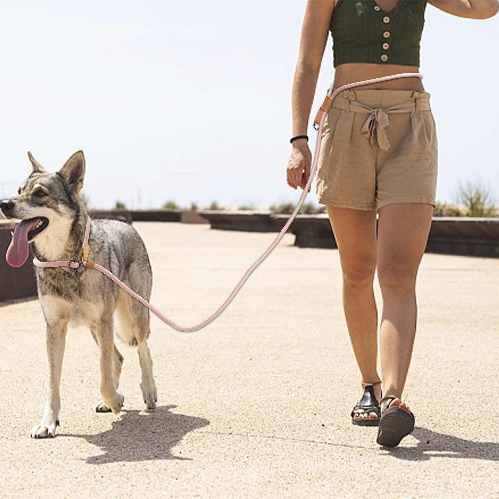 Multi-functional Adjustable P- - Running Gear Dog ulasan dan harga