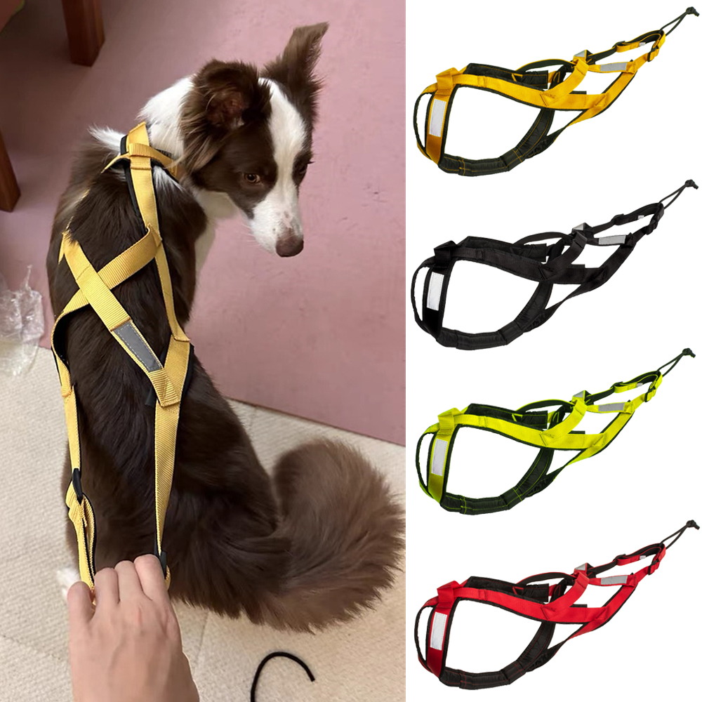 High Quality Big Dog Sledge Ha - Running Gear Dog ulasan dan harga
