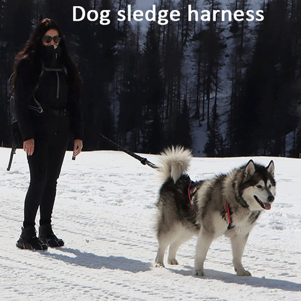High Quality Big Dog Sledge Ha - Running Gear Dog ulasan dan harga