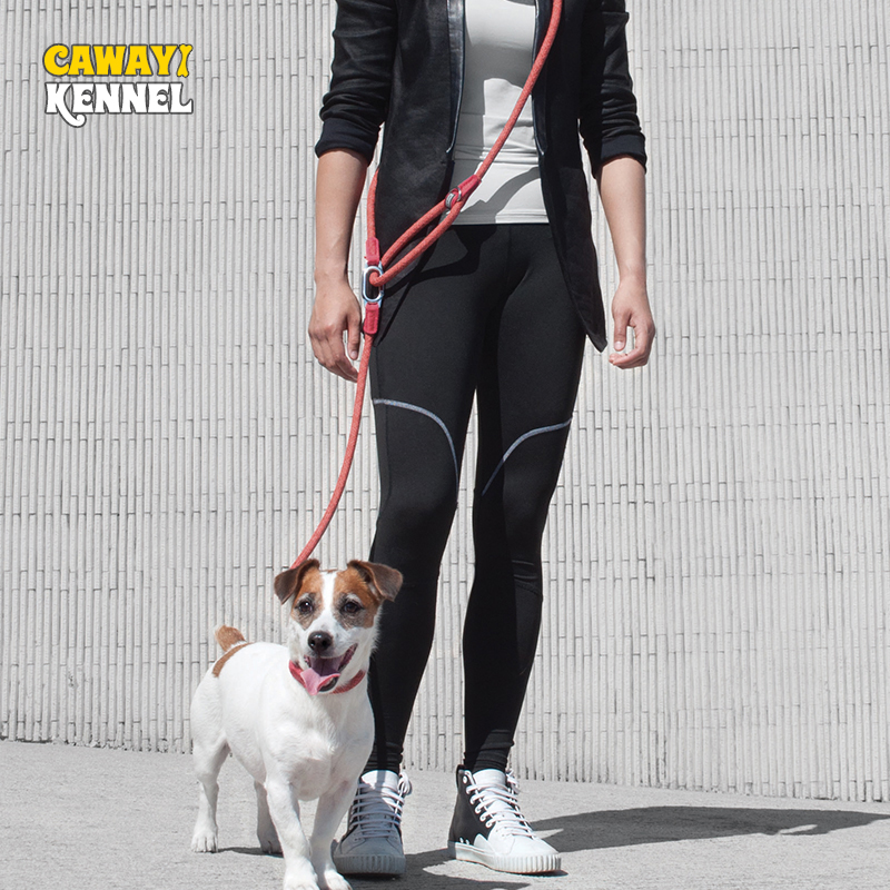 CAWAYI KENNEL Reflective Nylon - Running Gear Dog ulasan dan harga