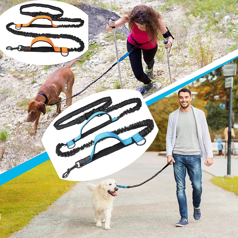 Double Elastic Reflective Runn - Running Gear Dog ulasan dan harga