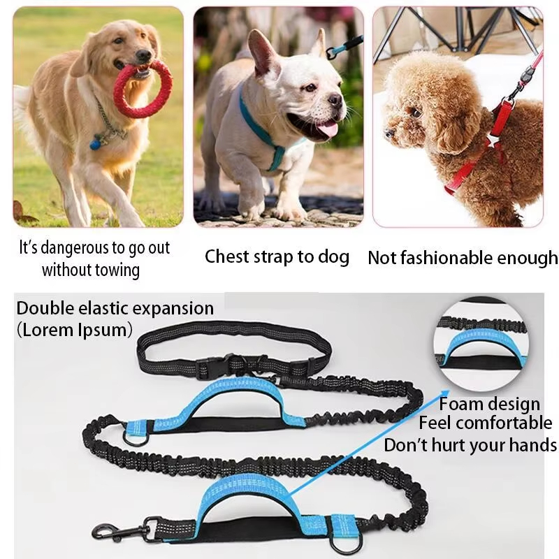 Double Elastic Reflective Runn - Running Gear Dog ulasan dan harga