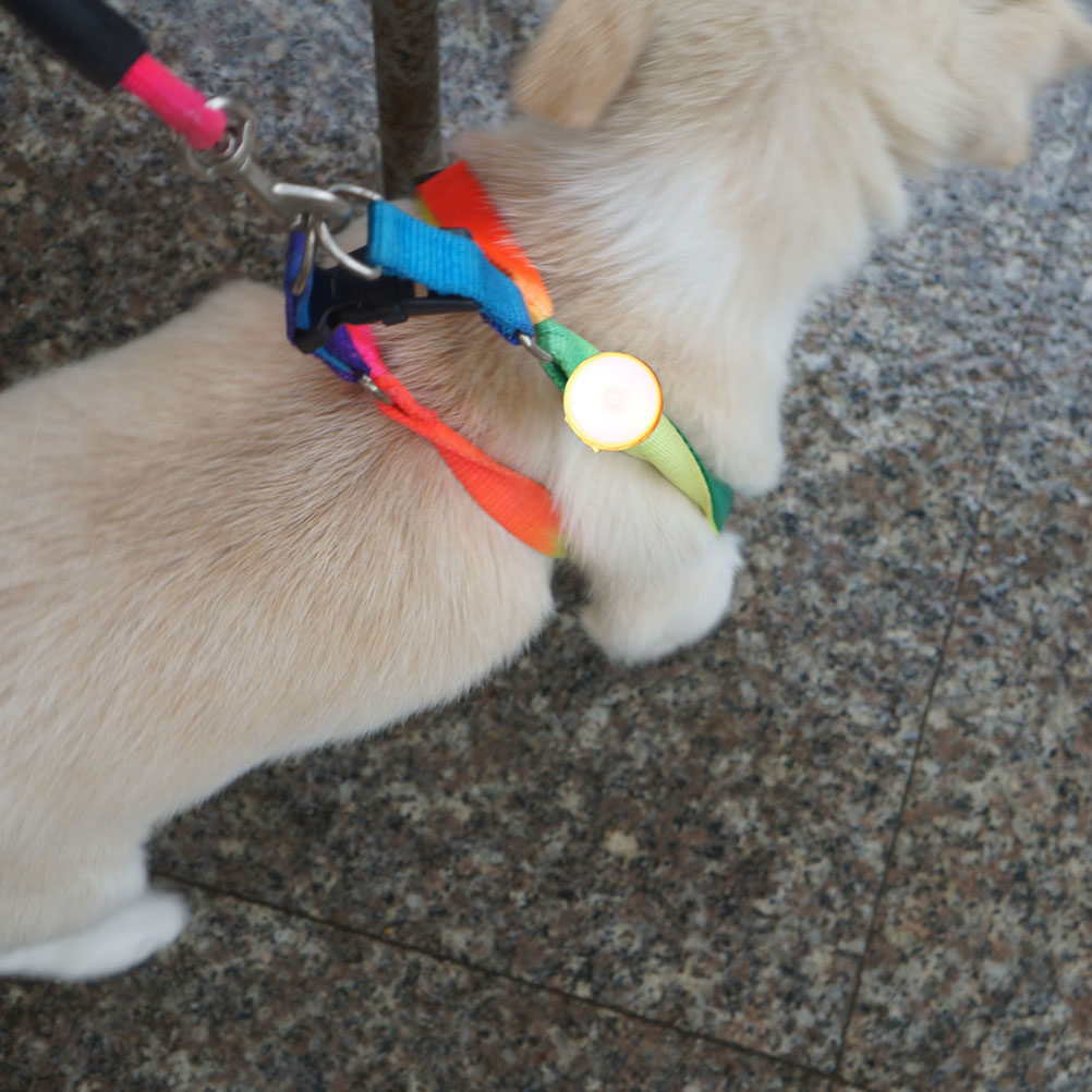 Multifunctional LED Running Wr - Running Gear Dog ulasan dan harga