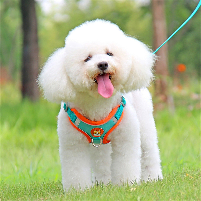 Adjustable No Pull Reflective  - Running Gear Dog ulasan dan harga