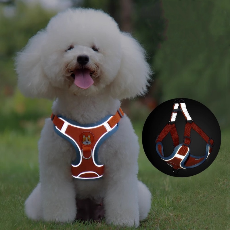 Adjustable No Pull Reflective  - Running Gear Dog ulasan dan harga